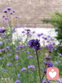 我想听听被人骂到奔溃是什么样子的…