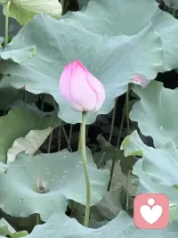 把多余的精力收回来吧，别让它散在无关紧要的琐事里，好好滋养自己才最要紧。情绪需要宣泄出来，而出口就在我这里。等你…等你们。
