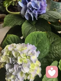 多专注于当下的生活和事物，人的心情就会慢慢平复下来，变得淡定从容