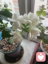 多专注于当下的生活和事物，人的心情就会慢慢平复下来，变得淡定从容
