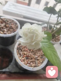 多专注于当下的生活和事物，人的心情就会慢慢平复下来，变得淡定从容