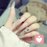 星空贝壳🍡的头像