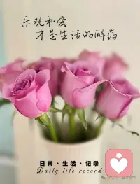 别总想着回到过去，人生是一场单程旅行。曾经的遗憾是经历，现在的努力是礼物，未来的未知是惊喜。心怀热爱，步履不停，奔赴更好的风景。