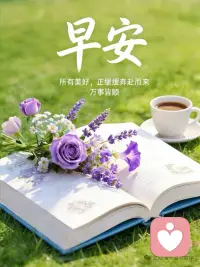 ✨你要站在光里，不要光站在那里，美好的一周开启🔛，加油⛽