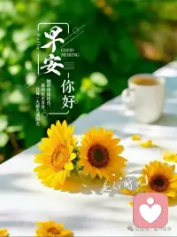 在漫长而平淡的岁月里，我们总会遇到几个需要咬牙坚持的时刻。那些支撑我们走过低谷、继续前行的，往往不是什么宏大的道理，而是某一句恰好契合当下心境的话。它像是一个安静的坐标，提醒我们：路还在脚下，还可以继续走。加油⛽新的一天💃🏻