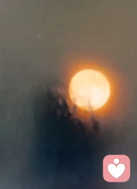 人，不论美丑，平安健康就好；天，不论阴晴，心情愉悦就好；路，不论远近，坚持走完就好；情，不论淡浓，真心相待就好。生活中，寻寻觅觅，找到的未必是自己想要的；辛辛苦苦，赚到的未必是自己所得的；起起落落，剩下的未必是自己懂得的；风风雨雨，守住的未必是真心相爱的。人活着，就会有很多梦想，就会有很多失望，就会有很多烦恼，就会有很多顾虑。其实，只要拥有一颗简单的素心，坚守做事的原则，不傲不炫，不卑不亢，就能听到自己内心清澈的声音，就能感受到自己内心的充盈，就能体会到幸福的存在！
