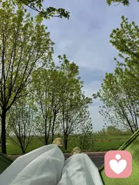 成熟就是 笑着听谎言

冷眼看表演 静心算得失
成年人的世界
每种选择
都有遗憾 遗憾是常态
有什么可说……