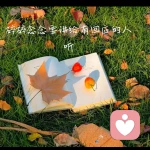 晚风可可🐕的头像