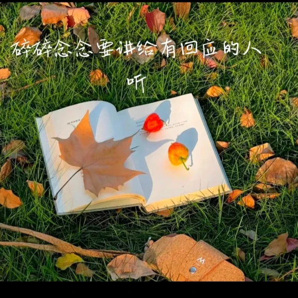晚风可可🐕