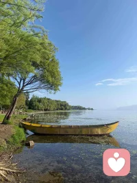 走心随笔（适合发动态，以倾听者视角感悟、引发共鸣）
 
做倾听的日子久了，慢慢才懂得：大多数人的崩溃从不是突如其来，而是无数个隐忍、迁就、独自硬扛的瞬间慢慢堆积而成。
 
慢慢懂得，人前的开朗坚强，往往是裹住脆弱的外衣；嘴上说着没事，心底藏着无人知晓的委屈、纠结与遗憾。旁人总在劝人放下、想开，却很少愿意静下心，去看见背后的挣扎与为难。
 
慢慢懂得，倾诉从不是寻求解决方案，更多时候只是渴望一份被理解、被接纳。不需要居高临下的道理，不需要匆忙的安慰，只需要有人安静等候，接纳所有负面情绪，允许难过存在。
 
慢慢懂得，每个人都背负着各自的苦楚前行，感情纠葛、生活重压、内心困顿、遗憾不甘，各有各的身不由己。我不评判对错，不强行救赎，只守在一旁认真倾听，承接纷乱心绪。愿每一份压抑都有处安放，疲惫的心，能短暂停靠片刻。