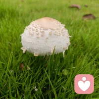 人生诸多困顿，不必独自奔赴，我陪你慢慢梳理。