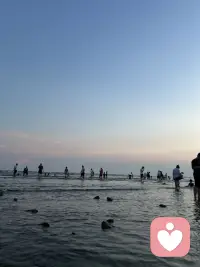 让花成花，让树成树
