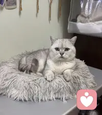 新的一天，加油