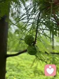 人生无非就三万多天，开心是一天，难过也是一天。有些人与事过去了，就是过去了，不管好坏，很多东西本来就是没有重头再来，人生这张体验卡是一次性的，活在当下，过好当下。好好吃饭，珍惜时光。