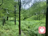 人生无非就三万多天，开心是一天，难过也是一天。有些人与事过去了，就是过去了，不管好坏，很多东西本来就是没有重头再来，人生这张体验卡是一次性的，活在当下，过好当下。好好吃饭，珍惜时光。