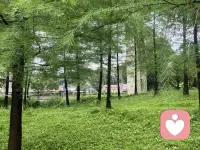 人生无非就三万多天，开心是一天，难过也是一天。有些人与事过去了，就是过去了，不管好坏，很多东西本来就是没有重头再来，人生这张体验卡是一次性的，活在当下，过好当下。好好吃饭，珍惜时光。