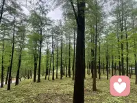 人生无非就三万多天，开心是一天，难过也是一天。有些人与事过去了，就是过去了，不管好坏，很多东西本来就是没有重头再来，人生这张体验卡是一次性的，活在当下，过好当下。好好吃饭，珍惜时光。