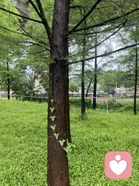 人生无非就三万多天，开心是一天，难过也是一天。有些人与事过去了，就是过去了，不管好坏，很多东西本来就是没有重头再来，人生这张体验卡是一次性的，活在当下，过好当下。好好吃饭，珍惜时光。