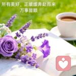 文心的头像