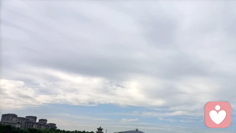 正念的力量