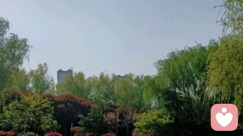 亲密关系女性需求