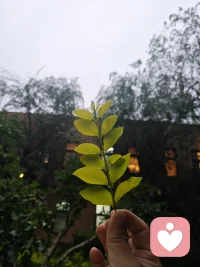 生活总是这样，会时不时考验你的脊梁。
风雨压肩，不是要把你压垮，而是让你学会站稳。挺过去，筋骨自然愈发坚韧。