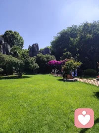不要太关注外面，外面的很多东西其实没有意义。