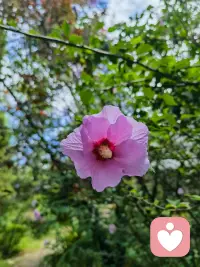 要克制自己想要帮助他解决问题的冲动，我们总是想提各种建议，甚至希望要替对方解决问题。但是大部分时候，对方并不需要你的意见，他们需要的是被倾听，被理解。