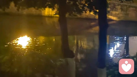 静心尽力