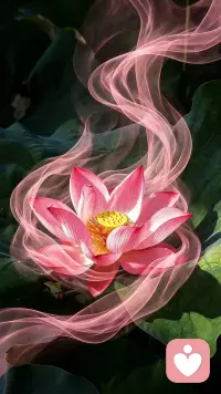 如果每个人都理解你，那你得普通成什么样子。