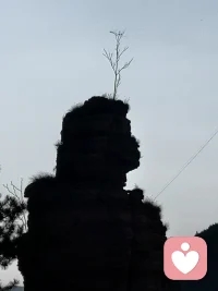 心小了事就大了  心大了事就小了  心和事就像跷跷板取决于我们的自我控制