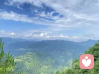 人这一生，最难得的清醒，从来不是一路狂奔、事事争先，而是接纳自己的节奏，与生活温柔和解。