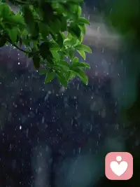 雨落下来，不是阻碍，是万物沉淀的时机。
不必焦虑眼前的阴霾，雨水冲刷所有浮躁。
暂时停下脚步没关系，安静蓄力，等风雨停歇，自有万里晴空。
那些熬过潮湿灰暗的时刻，都会变成往后前行的底气。