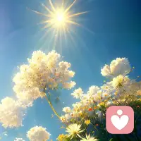 当晨光漫过窗台，就和昨天的疲惫和解吧。
人生本就是一边自愈，一边前行，所有蛰伏的努力，都在静待合适的时机开花。愿你今日，心有微光，稳步向阳。