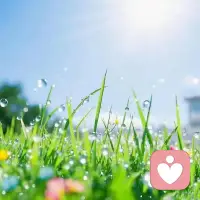 年轻执着的放不下的事，随着年龄的增长，经历人生的坎坷，回忆往事也不在执着，过去己过去！未来还未到！活在当下，不摆烂，做自想做事！😊