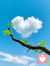 允许自己有不开心的时候，允许自己放声大哭，允许自己所有的失败，把它当成成长路上的经验！调整情绪负重前行