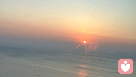真正的归属感  从不来至低频的报团