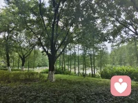 我不再与他人比较，我的道路独特而完整，我聚焦于自己的成长节奏，并为别人的成就真诚喝彩！