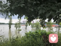 我不再与他人比较，我的道路独特而完整，我聚焦于自己的成长节奏，并为别人的成就真诚喝彩！