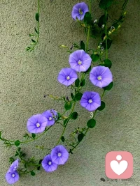 别在仰望幸福时抱怨生活！