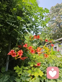 每个人的行为背后都有两个原因----一个高尚的借口，一个真正的动机。