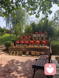 成长的标准就是拒绝别人以后没有任何的愧疚感。