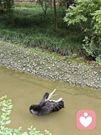 心理学里说：能够坦然享受独处的人，往往拥有最稳定的内核，和最清醒的三观。
