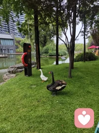 心理学里说：能够坦然享受独处的人，往往拥有最稳定的内核，和最清醒的三观。