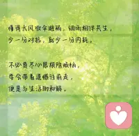懂得大风收伞避祸，细雨相伴共生，少一分对抗，就少一份内耗。
不必费尽心思根除烦恼，学会带着遗憾往前走，便是与生活的和解。