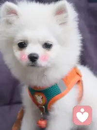 为什么控制你的人，首先要贬低你？