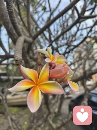 好好善待自己，永远不要在一段消耗你的关系里苦苦坚持。
心事无处诉说，可以来找我聊聊。