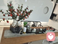 来找我的能量女王喝茶……
