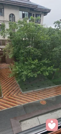 一场雨落尽燥热，风凉下来，心绪也慢慢舒展。雨停云开，心头积压的沉闷，跟着积水一并消散。养养鱼，节奏慢点的中年生活挺好。