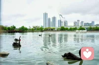 我们总以为旅行是去看风景

其实是借山河治愈内心

人一辈子困在原地

眼界就会越来越窄

心事也会越积越多

走出去你才会明白

世上没有解不开的心结

只有没被山水开阔的格局

看过山川湖海

见过人间百态

就会慢慢放下执念

看淡得失

原来远行

从来都是渡自己